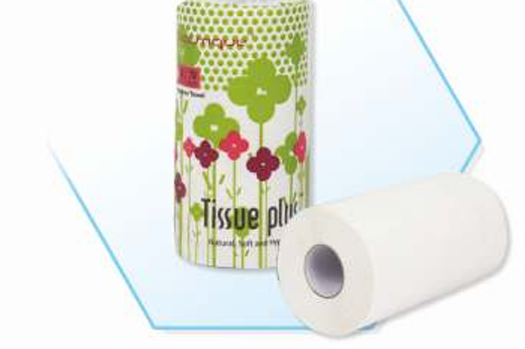 KITCHEN ROLLS Kitchen Roll BTQ Tissue Plus KR - 1x1