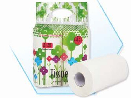 KITCHEN ROLLS Kitchen Roll BTQ Tissue Plus KR - 2x1